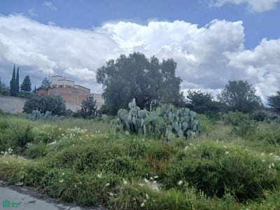 /international/mx/av-gustavo-baz-prada-lote-3-manzana-5-nueva-teotihuacan-teotihuacan-mexico-teotihuacan-mexico-city-310107946640/