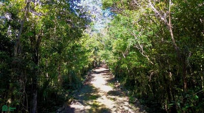 /international/mx/aldea-coral-manzana-002-lote-022-ciudad-chemuyil-tulum-quintana-roo-tulum-quintana-roo-310097746427/?lang=de