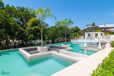 /international/mx/ave-de-golfo-tulum-quintana-roo-310107146829/