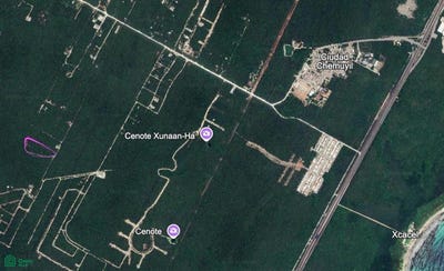 /international/mx/las-palmas-lot-2-ciudad-chemuyil-tulum-quintana-roo-tulum-quintana-roo-310108272712/