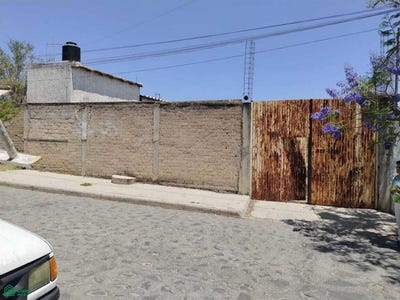 /international/mx/lechuga-entre-betabel-y-tomate-sn-mesa-colorada-poniente-zapopan-jalisco-zapopan-jalisco-310107945926/