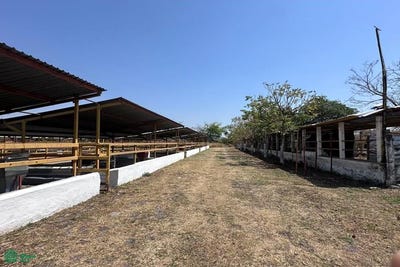 /international/mx/michapa-amacuzac-0-tetecala-morelos-tetecala-morelos-310108311203/
