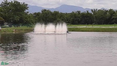 /international/mx/ejido-santiago-de-tecoman-ii-s-n-cerro-de-ortega-tecoman-colima-tecoman-colima-310105428484/