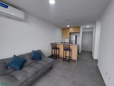 /international/mx/alfonso-reyes-550-regina-monterrey-nuevo-leon-monterrey-nuevo-leon-310101154182/?lang=zh-cn