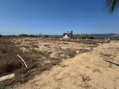 /international/mx/fraccionamiento-flamingos-s-n-bajos-de-chila-san-pedro-mixtepec-juquila-oaxaca-71981-oaxaca-310107189079/