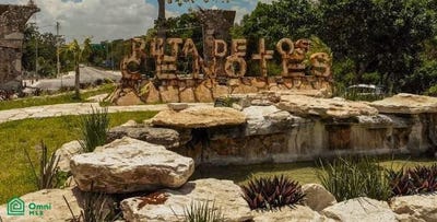 /international/mx/km-23-ruta-de-los-cenotes-puerto-morelos-34-puerto-morelos-puerto-morelos-quintana-roo-puerto-morelos-quintana-roo-310109224357/