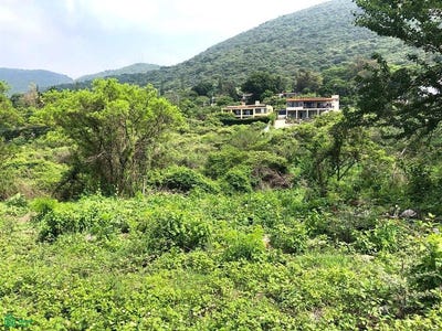 /international/mx/cisnes-14-15-chapala-haciendas-chapala-jalisco-chapala-jalisco-310107472364/