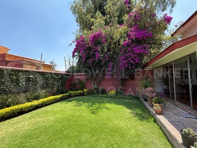 /international/mx/circuito-misioneros-naucalpan-de-juarez-mexico-city-310108777914/?lang=id