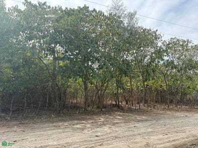 /international/mx/quiroz-y-martinez-lote-18-san-mateo-juarez-nuevo-leon-ciudad-benito-juarez-nuevo-leon-310110286181/