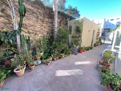 /international/mx/hacienda-agua-caliente-0-hacienda-agua-caliente-tijuana-baja-california-tijuana-baja-california-310100791960/?lang=en