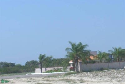 /international/mx/carretera-merida-progreso-desviacion-a-sierra-papacal-tablaje-6693-kikteil-merida-yucatan-merida-yucatan-310106714413/