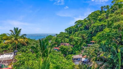 /international/mx/jacarandas-lote-6-manzana-486-c-altavista-puerto-vallarta-jalisco-puerto-vallarta-jalisco-310101181922/?lang=en