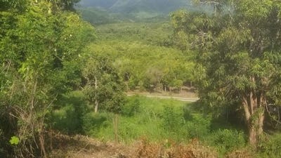 /international/mx/nayarit-nayarit-310105913172/