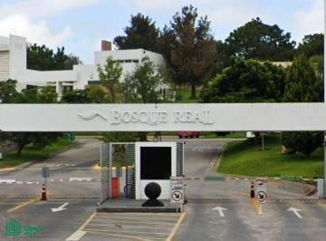 /international/mx/blvd-a-la-loma-de-los-pinos-100-bosques-santa-anita-tlajomulco-de-ziga-jalisco-tlajomulco-de-zuniga-jalisco-310106543773/