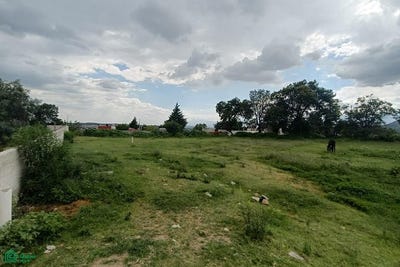 /international/mx/sor-juana-ines-de-la-cruz-41-pueblo-san-francisco-ocotelulco-totolac-tlaxcala-totolac-tlaxcala-310101126855/?lang=zh-cn