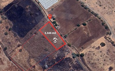 /international/mx/45-extramuros-san-pedro-tesistan-jalisco-310108669952/?lang=zh-tw