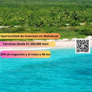 /international/mx/quintana-roo-othon-p-blanco-mahahual-mahahual-quintana-roo-310105987224/