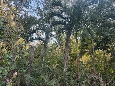 /international/mx/ctra-tulum-coba-km-9-1-tulum-quintana-roo-310108952063/