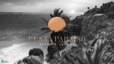 /international/mx/105-paa-mul-playa-del-carmen-quintana-roo-77735-quintana-roo-310103494079/