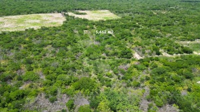 /international/mx/100-719-santa-cruz-palomeque-yucatan-310108285709/