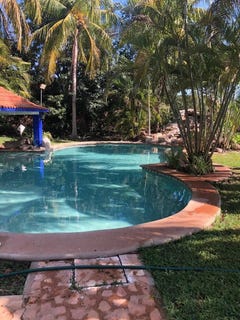 /international/mx/chichi-suarez-yucatan-310108523238/