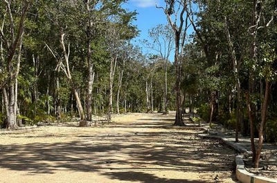 /international/mx/quintana-roo-quintana-roo-120095298536/