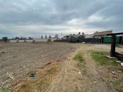 /international/mx/hipodromo-sn-santa-maria-texcalac-apizaco-tlaxcala-apizaco-tlaxcala-310106940425/