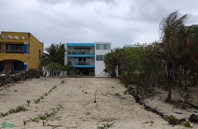 /international/mx/villas-xcambo-0-san-bruno-dzemul-yucatan-dzemul-yucatan-310107146911/