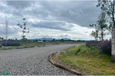 /international/mx/carretera-san-miguel-de-allende-buenavista-0-corralejo-de-arriba-san-miguel-de-allende-guanajuato-san-miguel-de-allende-guanajuato-310108313260/