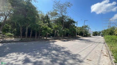 /international/mx/zetina-gazca-puerto-morelos-quintana-roo-310108793904/?lang=zh-tw