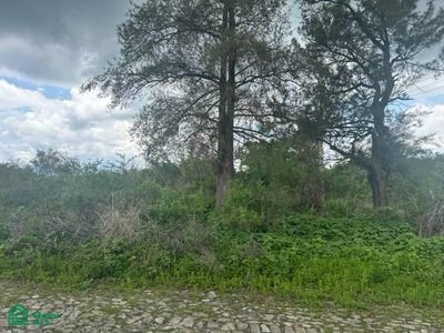 /international/mx/av-cielo-rojo-lote-10-agua-escondida-ixtlahuacan-de-los-membrillos-ixtlahuacan-de-los-membrillos-jalisco-ixtlahuacan-de-los-membrillos-jalisco-310100936247/