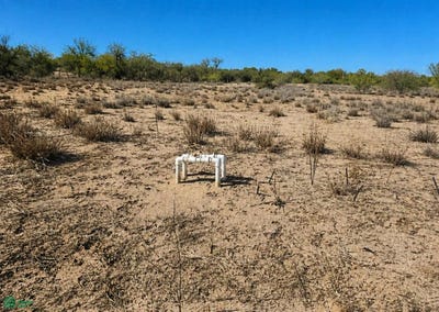 /international/mx/pesqueira-parcela-6-pesqueira-granja-porcicola-san-miguel-de-horcasitas-sonora-san-miguel-de-horcasitas-sonora-310107768093/