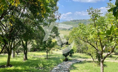 /international/mx/agua-escondida-ixtlahuacan-de-los-membrillos-jalisco-310108862389/