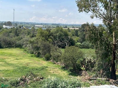 /international/mx/km-97-5-carretera-mexico-queretaro-sn-san-miguel-de-la-victoria-jilotepec-mexico-jilotepec-mexico-city-310107247938/