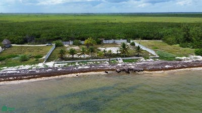 /international/mx/zona-federal-maritima-bahia-petempich-64-puerto-morelos-puerto-morelos-quintana-roo-puerto-morelos-quintana-roo-310107647414/