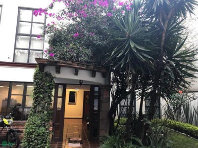 /international/mx/av-mexico-189-11-del-carmen-coyoacan-ciudad-de-mexico-ciudad-de-mexico-mexico-city-310107330988/