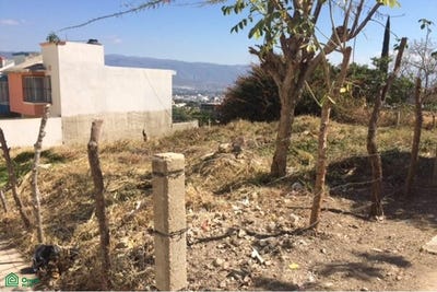 /international/mx/avenida-amapola-25-ampliacion-cocal-tuxtla-gutierrez-chiapas-tuxtla-gutierrez-chiapas-310108311661/