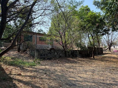 /international/mx/avenida-ignacio-zaragoza-17-diego-ruiz-yautepec-morelos-yautepec-morelos-310108310419/