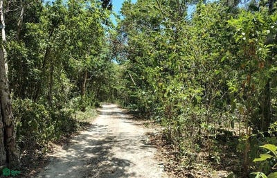 /international/mx/golondrinas-sn-akumal-tulum-quintana-roo-tulum-quintana-roo-310102160600/
