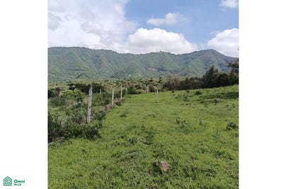 /international/mx/jasmin-0-san-nicolas-malinalco-mexico-malinalco-mexico-city-310108431602/