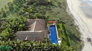 /international/mx/las-tortugas-sn-puerto-escondido-centro-san-pedro-mixtepec-dto-22-oaxaca-puerto-escondido-oaxaca-310106109486/