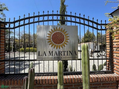 /international/mx/l5-m3-paseo-de-las-palmas-l5-m3-la-malcontenta-allende-guanajuato-mexico-0-providencia-san-miguel-de-allende-guanajuato-37774-loudon-guanajuato-310106104991/