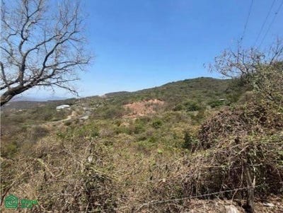 /international/mx/s-n-fraccion-iii-del-predio-rustico-ubicado-en-la-cuadrilla-s-n-matlalapa-tixtla-de-guerrero-guerrero-tixtla-de-guerrero-guerrero-310108309022/