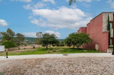 /international/mx/paseo-lavanda-san-miguel-de-allende-guanajuato-310108994213/