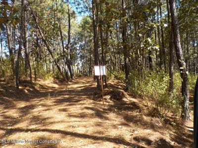 /international/mx/-9-lote-navidad-sierra-madre-jalisco-jalisco-310108528924/