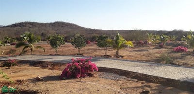 /international/mx/avenida-culiacan-0-pueblo-imala-culiacan-sinaloa-culiacan-sinaloa-310108661358/?lang=fr