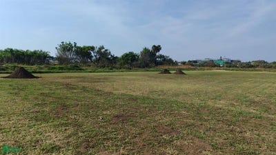 /international/mx/avenida-tlaltizapan-yautepec-kilometro-4-6-4-20-30-tlaltizapan-de-zapata-morelos-tlaltizapan-de-zapata-morelos-310108951948/
