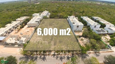 /international/mx/1-1-yucatan-country-club-merida-yucatan-merida-yucatan-310107299650/