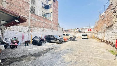 /international/mx/camelia-cuauhtemoc-mexico-city-310107911972/