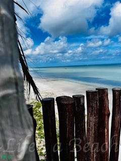 /international/mx/19-59-telchac-puerto-telchac-puerto-yucatan-telchac-puerto-twp-yucatan-310104774466/